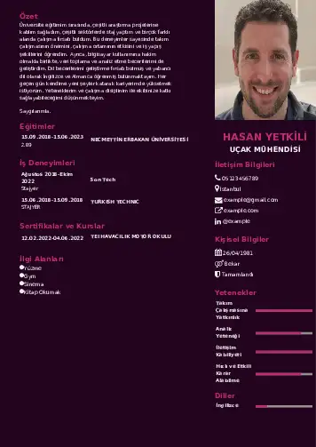 Havacılık Ve Uzay Uçak Mühendisi Cv Örnekleri cv indir